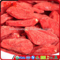 Complemento nutricional suplemento nutricional fruta seca goji